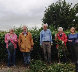 Friends of Bloomfield Green looking after the open space